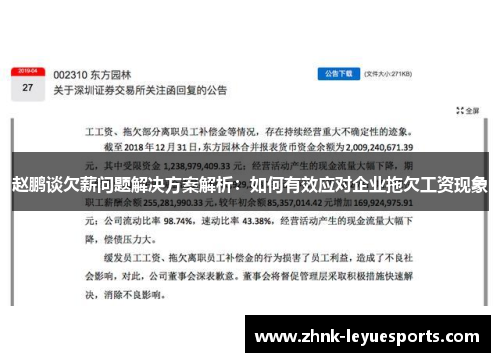 赵鹏谈欠薪问题解决方案解析：如何有效应对企业拖欠工资现象