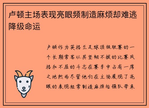 卢顿主场表现亮眼频制造麻烦却难逃降级命运