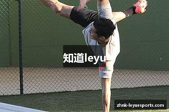 知道leyu